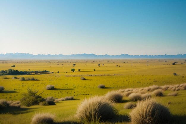 La vaste prairie semble loin Beau fond d'écran de l'environnement naturel photographie d'arrière-plan