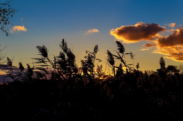 De vastes nuages tachetés d'orange forment un bol en automne ciel coucher de soleil dans un bol semi-désertique en forme d'automne