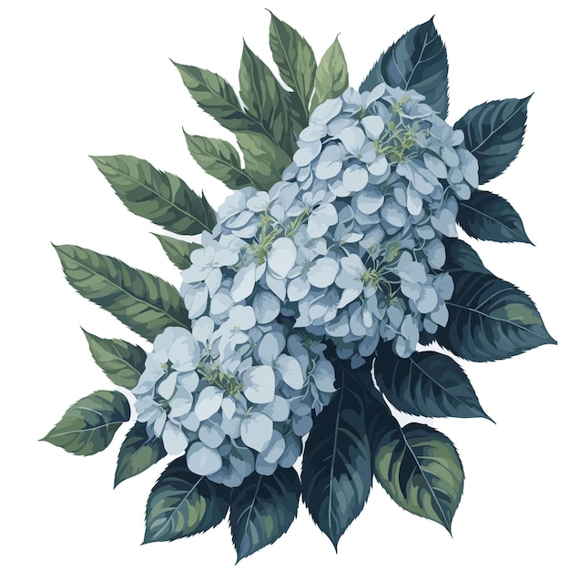 Vector aquarelle montagne hortensia clipart fleur florale