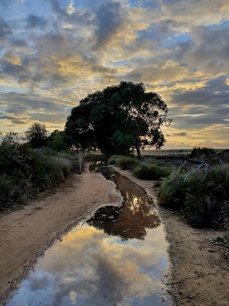 Vega Baja del Segura El lago azul del Parque Natural de las Lagunas de La Mata y Torrevieja