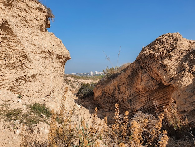 Photo vega baja del segura el lago azul del parque natural de las lagunas de la mata y torrevieja