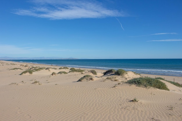 Vega Baja del Segura Guardamar del Segura Paisaje de dunas junto al mar