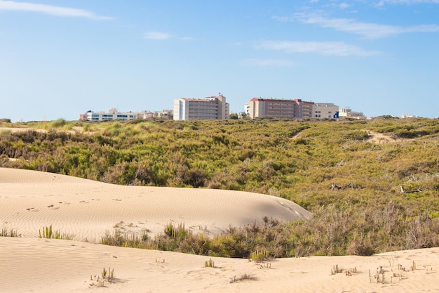 Photo vega baja del segura guardamar del segura paisaje de dunas junto al mar