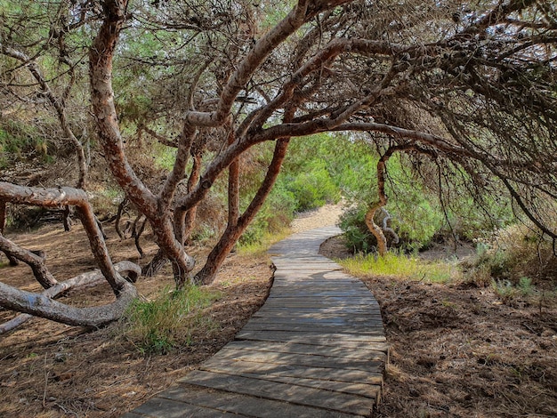 Vega Baja del Segura Guardamar del Segura Parque la ora