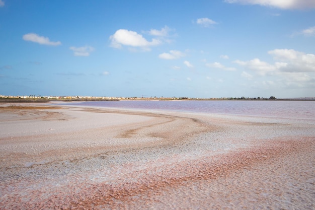 Photo vega baja del segura le lac salade de torrevieja le paraje natural de las salinas