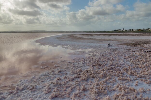Photo vega baja del segura las salinas de torrevieja et ses formations de sel
