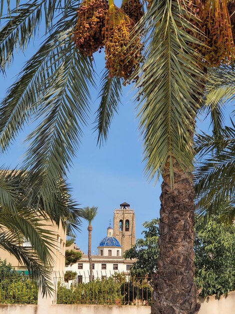 Photo vega baja del segura orihuela iglesia de las santas justa y rufina