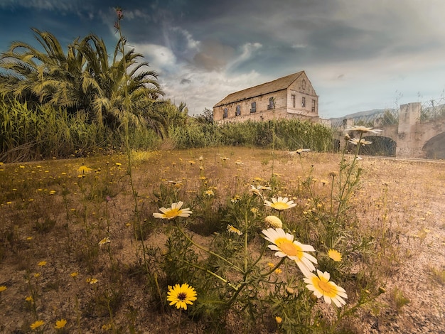 Vega Baja del Segura Orihuela Paisajes de la sierra la huerta y sus detalles