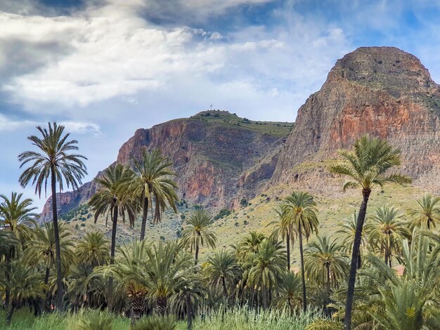 Vega Baja del Segura Orihuela Palmeral y paisajes de su entorno