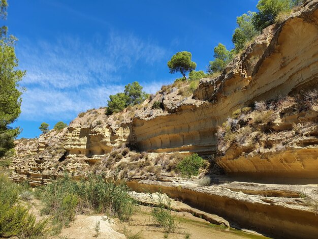 Vega Baja del Segura Pilar de la Horadada Rio Seco