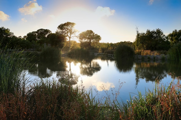 Vega Baja del Segura Rojales Parque el Recorral