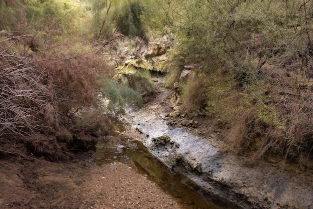 Vega Baja del Segura - Ruta de senderismo por La Caldera del Gigante y el Hoyo Serrano