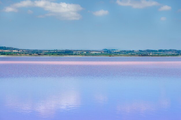 Vega Baja del Segura - Salinas de Torrevieja - La Laguna Salada y su entorno, un paisaje unico