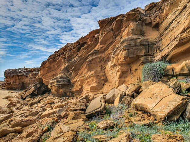 Vega Baja del Segura Torrevieja Calas en Urbanisation Cabo Cervera y su entorno