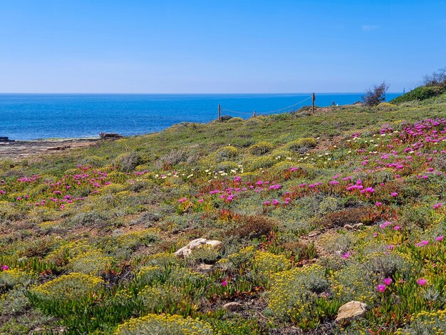 Vega Baja del Segura - Torrevieja - Hermosos paysages dans le littoral des calanques de Torrevieja