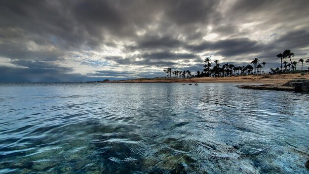 Vega Baja del Segura Torrevieja Un oasis junto al mar en Cala Ferris