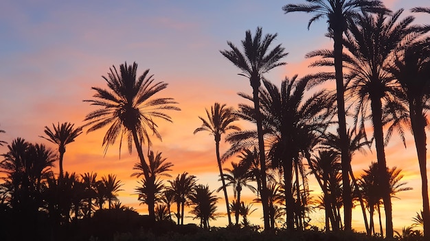 Vega Baja del Segura Torrevieja Un oasis junto al mar en Cala Ferris