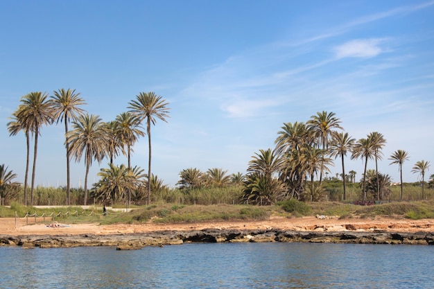 Photo vega baja del segura torrevieja un oasis junto al mar en cala ferris