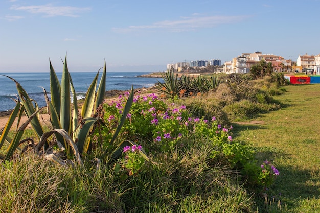 Photo vega baja del segura torrevieja paisajes de la urbanizacin mar azul cerca de cala ferris