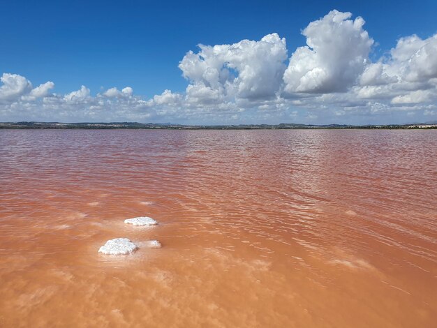 Vega Baja del Segura Torrevieja Paisajes y detalles en las salinas lago salado laguna rosa