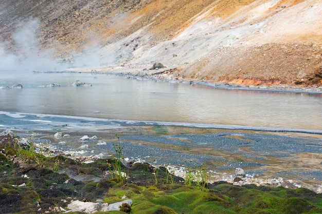 Végétation extrêmophile au bord d'un lac volcanique minéralisé chaud rappelant les premières plantes terrestres