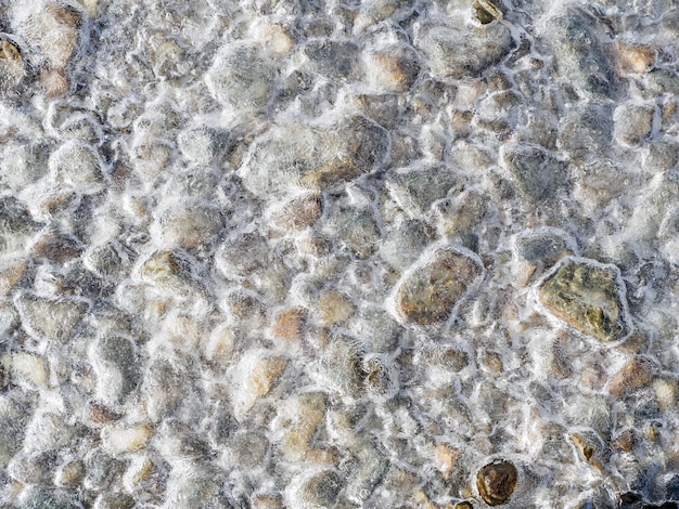 Végétation givrée par un matin froid dans les alpes françaises