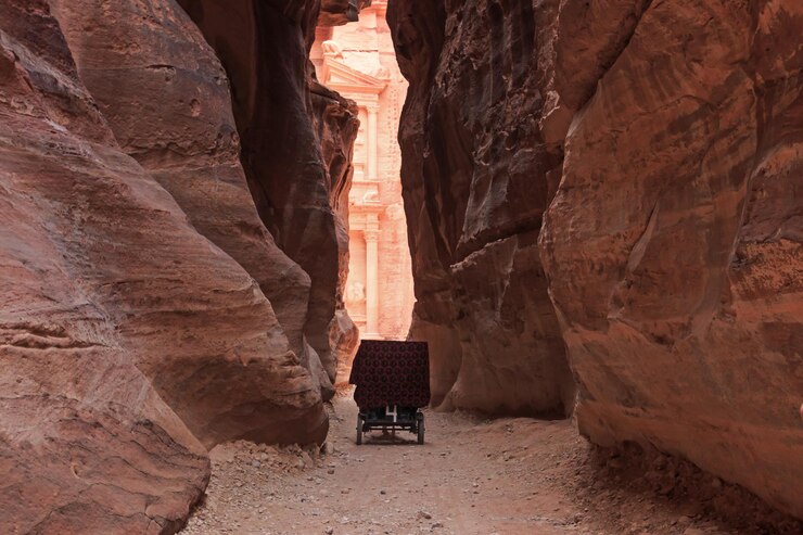 Photo véhicule se déplaçant au milieu de formations rocheuses à petra