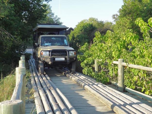 Photo véhicule tout-terrain sur pont en bois