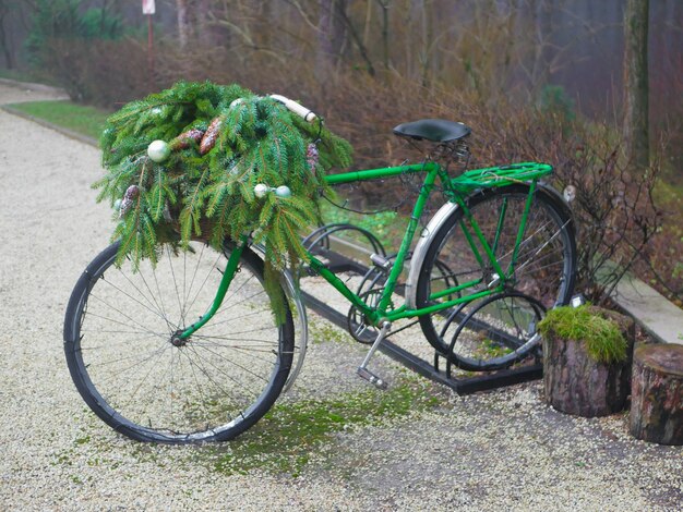 Vélo avec aiguilles et cônes de sapin. photo de haute qualité