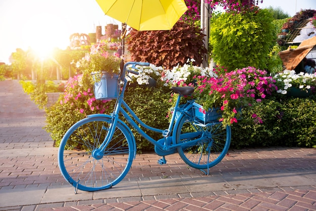 Vélo bleu avec des fleurs dans un jardin