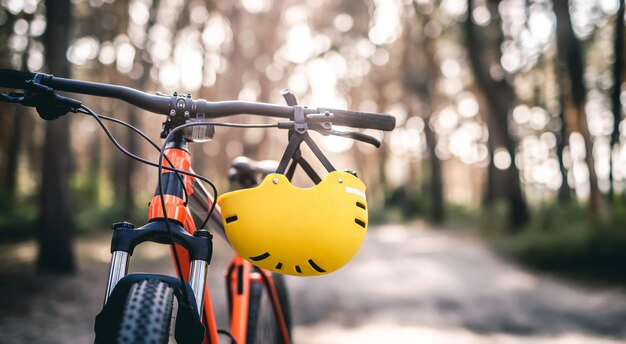 Vélo et casque sur guidon sur fond de forêt ensoleillée