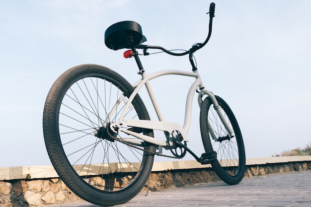 Vélo de croisière en acier gris pour homme