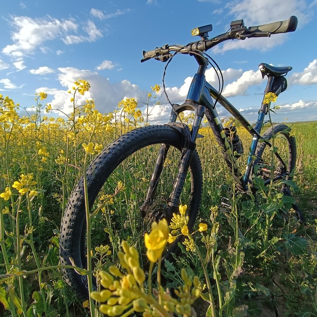 Un vélo est garé dans un champ de fleurs jaunes.