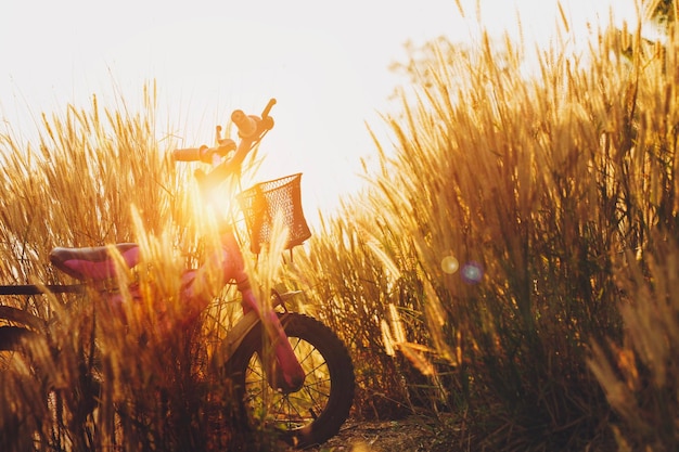 Photo vélo avec des fleurs d'herbe au soleil le soir