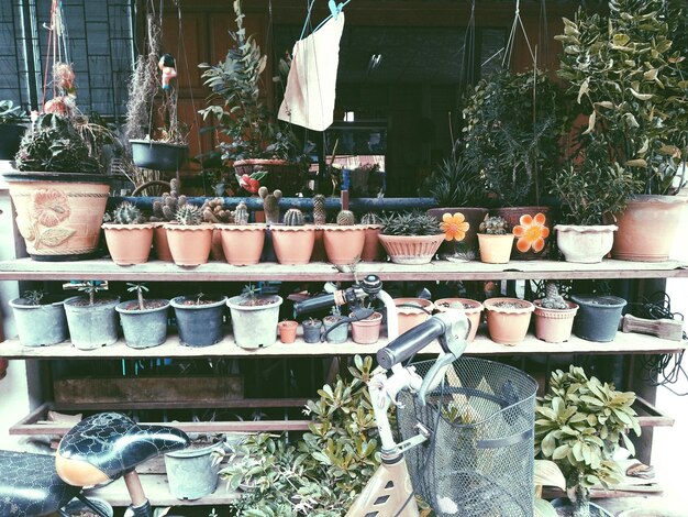 Photo un vélo garé par des plantes en pot.