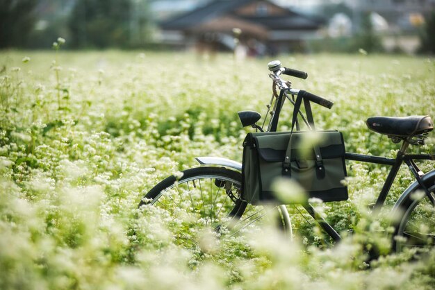 Vélo en gros plan dans un champ herbeux