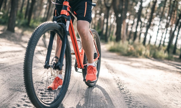 Vélo avec homme à cheval à travers la forêt de pins