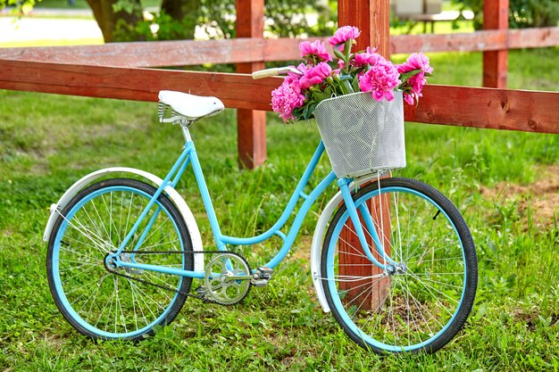 Vélo de jardin vintage nxt à clôture en bois