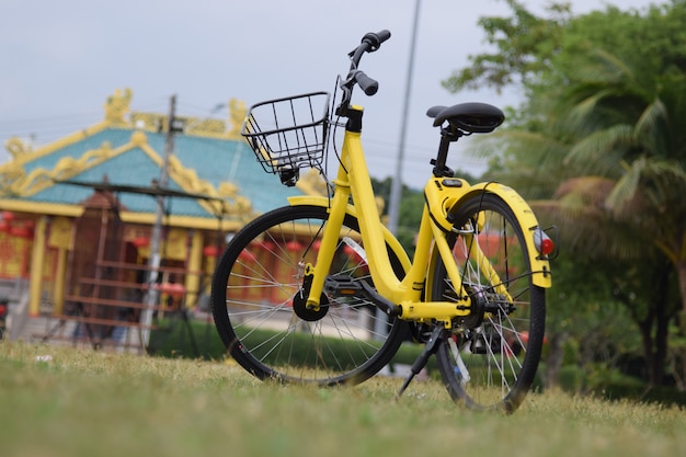 Vélo jaune dans le parc public.