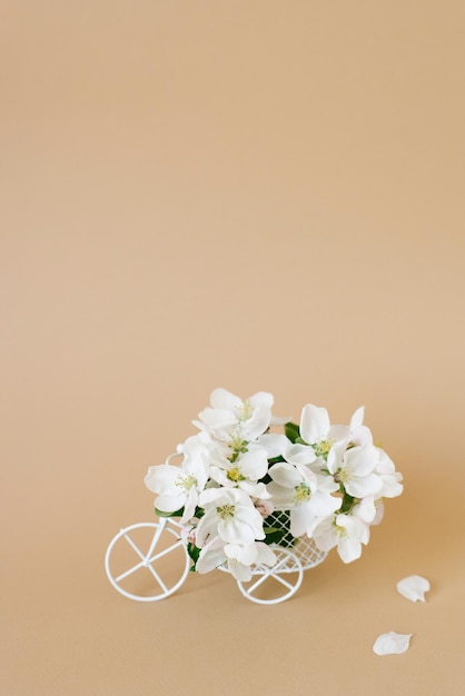 Un vélo jouet rétro blanc livrant des fleurs de pommier blanches sur fond beige Carte de Saint Valentin cadeau d'anniversaire Journée de la femme Livraison de produits de vacances Concept de printemps avec espace de copie