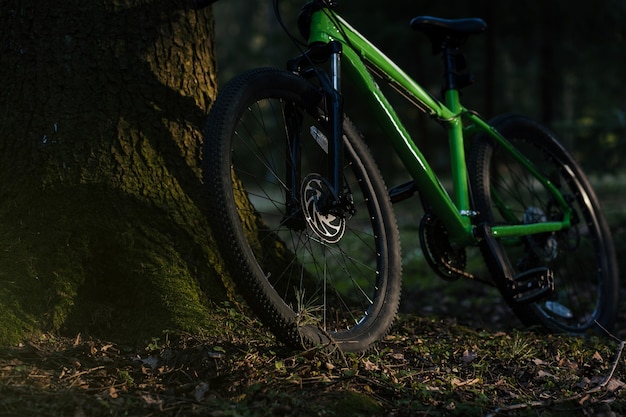 Le vélo de montagne se tient près de l'arbre dans la forêt au coucher du soleil