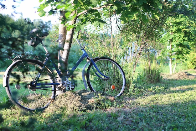 Vélo sur une nature rurale