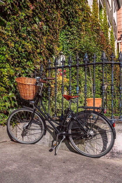 Vélo noir avec panier en osier sur le guidon appuyé sur une clôture métallique et bâtiment recouvert de végétation en arrière-plan