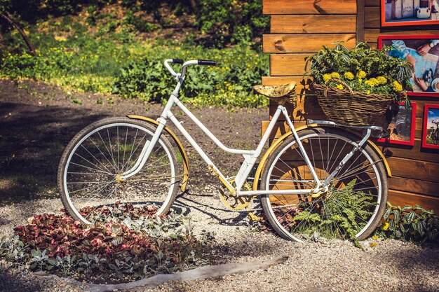 Un vélo avec un panier de fleurs devant lui