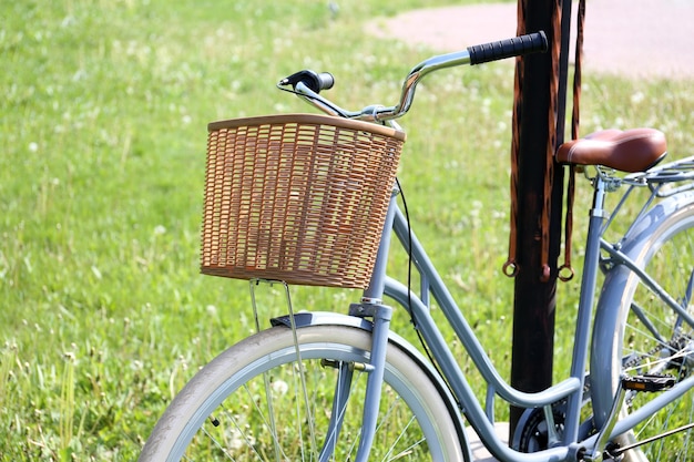 Vélo avec panier en osier sur l'herbe verte dans le parc