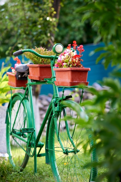 Vélo peint en vert utilisé comme support pour les pots de fleurs