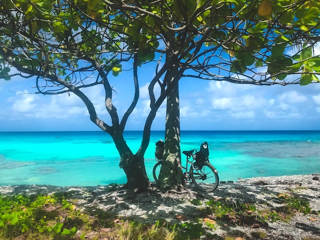 Vélo sur la plage sous la plage