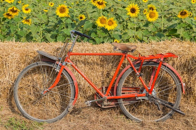 Vélo rouge classique avec fond de tournesol