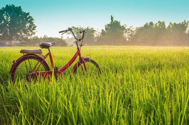 Vélo rouge avec fond de vue rurale