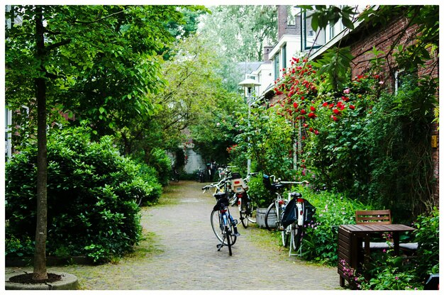 Photo vélo sur le sentier en ville